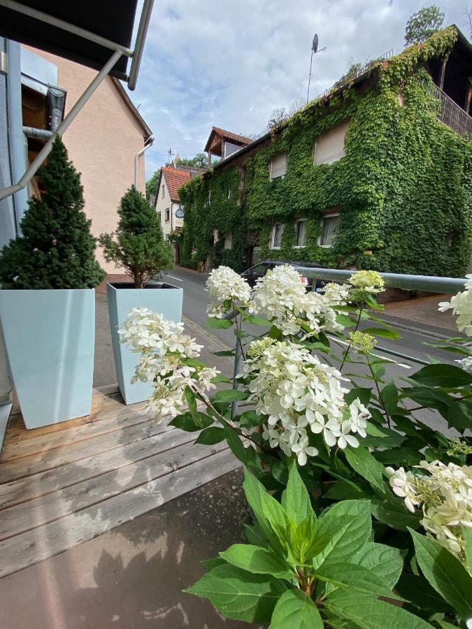 Wunderschoenes Studio Fuer Bis Zu 2 Personen Homburg  Eksteriør bilde